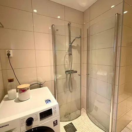 Flott 4-roms Til Leie Trondheim